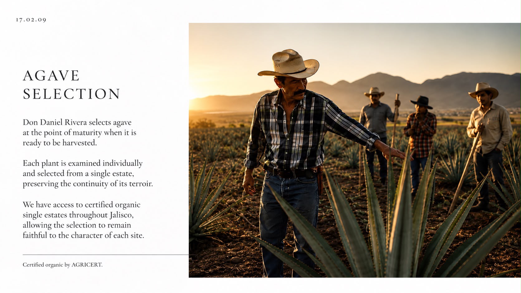 Ancestral process of 17.02.09 tequila — blue agave in Jalisco