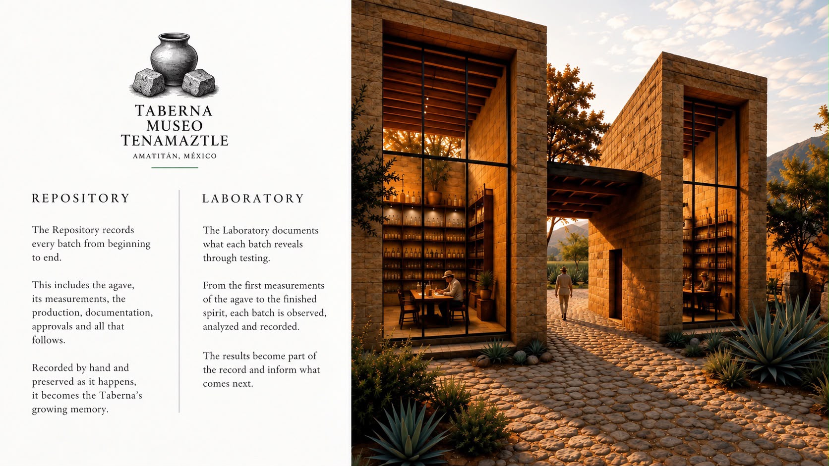 Earth ovens for cooking blue agave at Taberna Museo